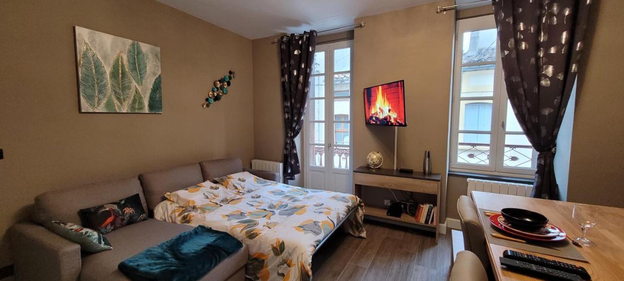 Appartement Le Moulin Vert 카르카손 외부 사진